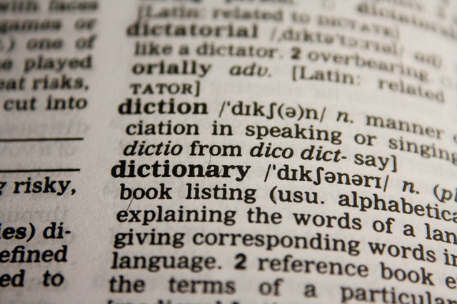 Mehr über den Artikel erfahren “Wir tauschten Blicke — alle drei”: Tandemübersetzen mit Autor