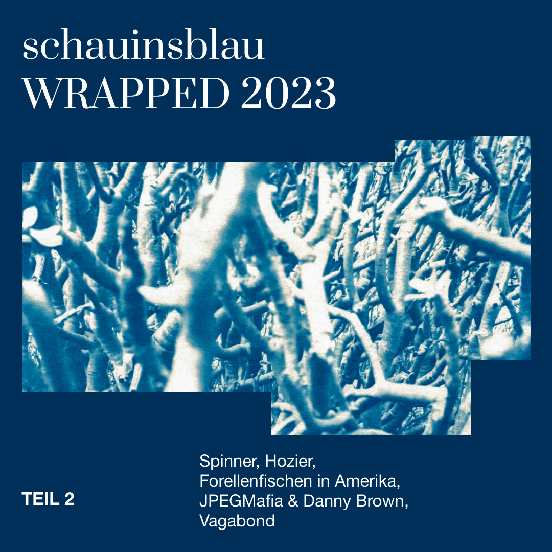 You are currently viewing Schauinsblau Wrapped 2023 Teil 2