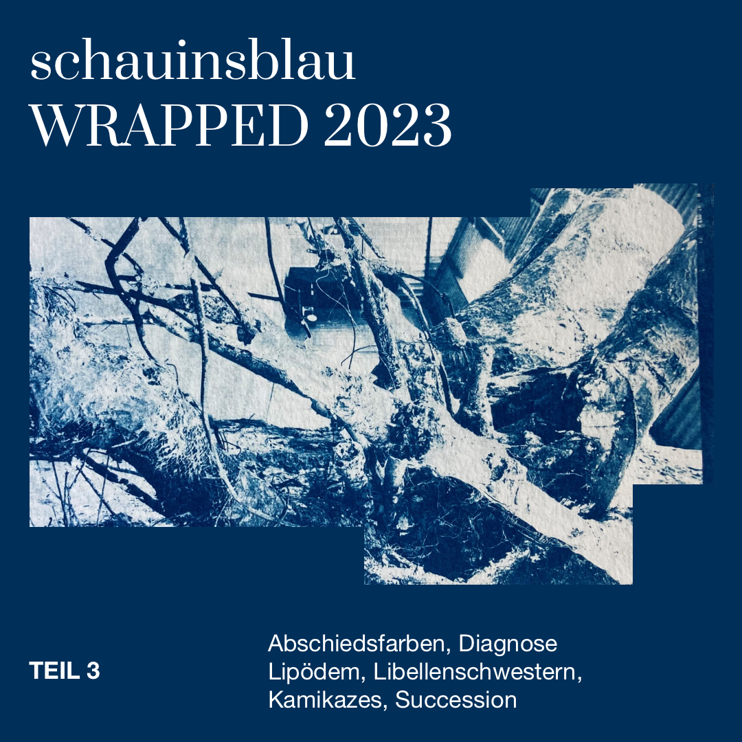 Du betrachtest gerade Schauinsblau Wrapped 2023 Teil 3