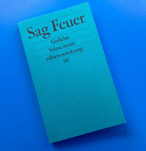 Mehr über den Artikel erfahren Brennen für die Möglichkeit – „Sag Feuer“ von Selma Asotić