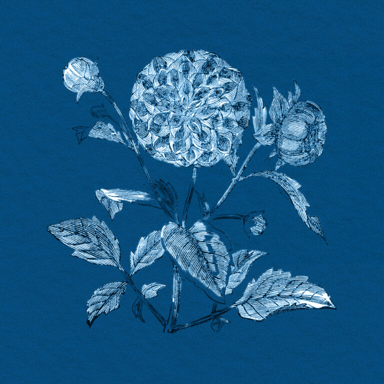 Mehr über den Artikel erfahren Lieblingsort